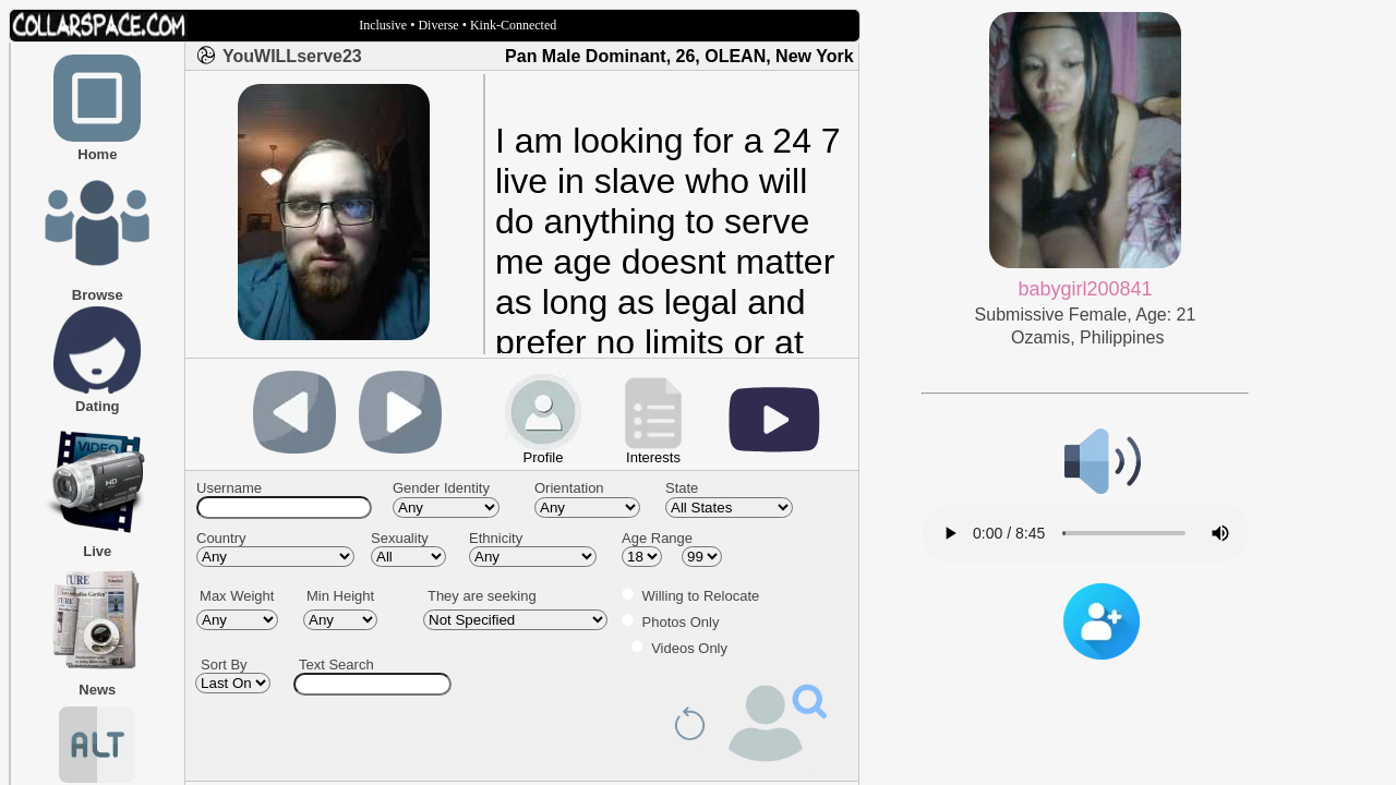 Screenshot of collarspace.com