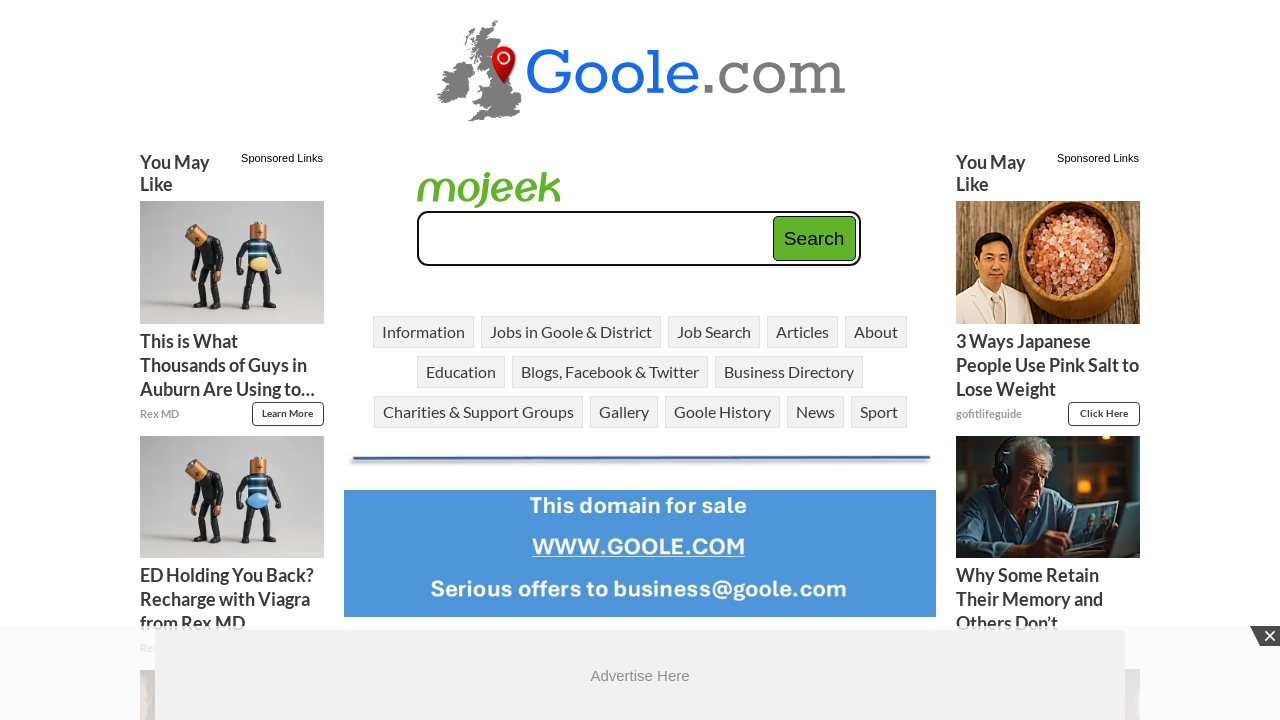 Screenshot of goole.com