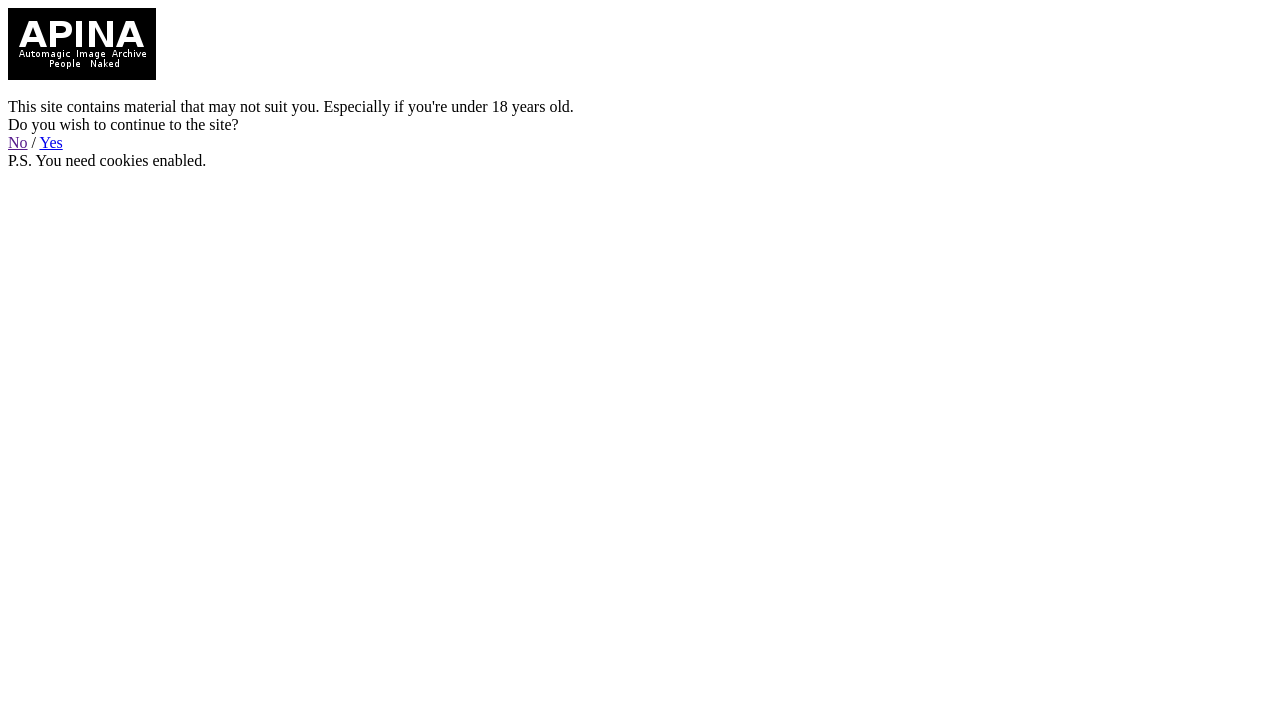 Screenshot of apina.biz