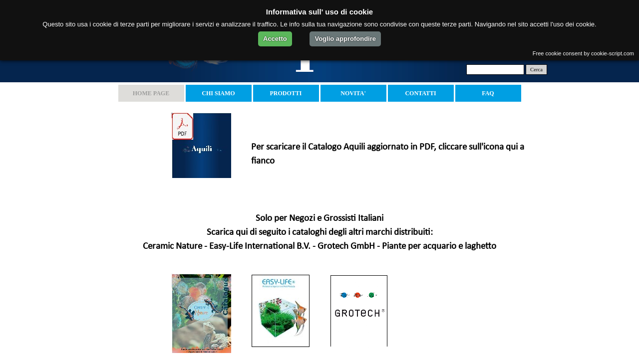 Screenshot of aquili.it