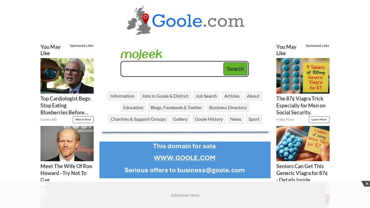 Screenshot of www.goole.com