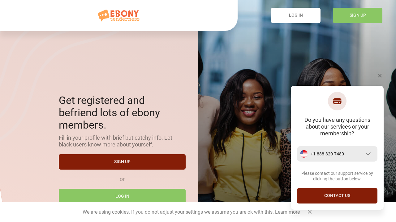 Screenshot of ebonytenderness.com