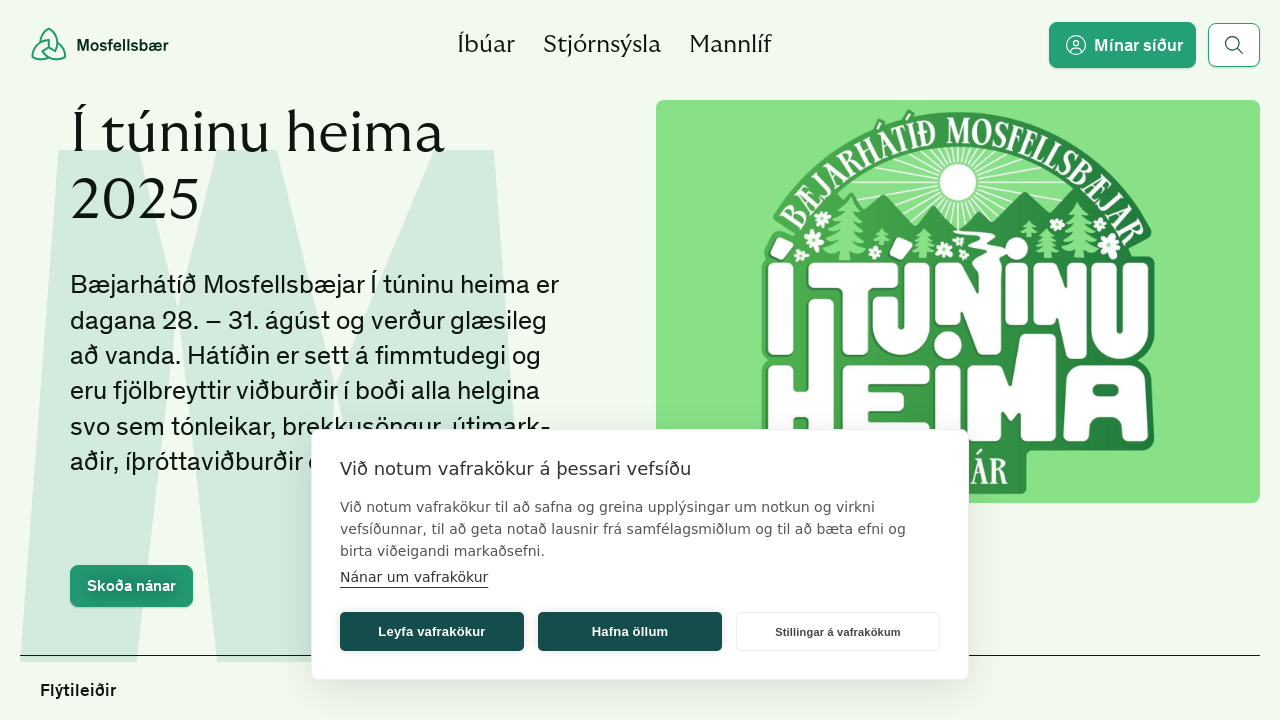 Screenshot of mos.is