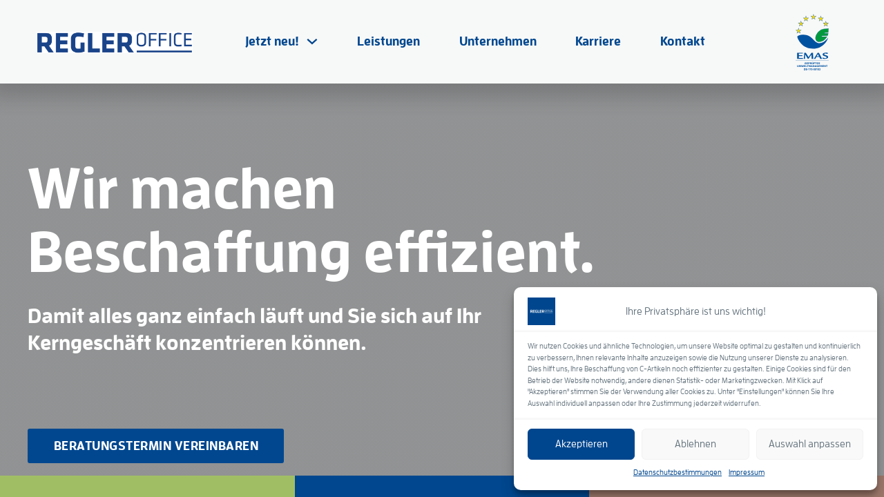 Screenshot of www.regler.de