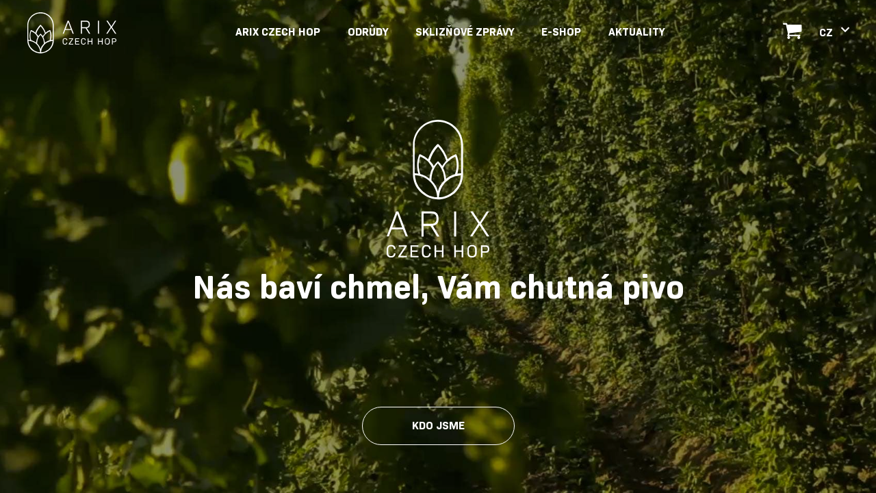 Screenshot of www.arixczechhop.cz