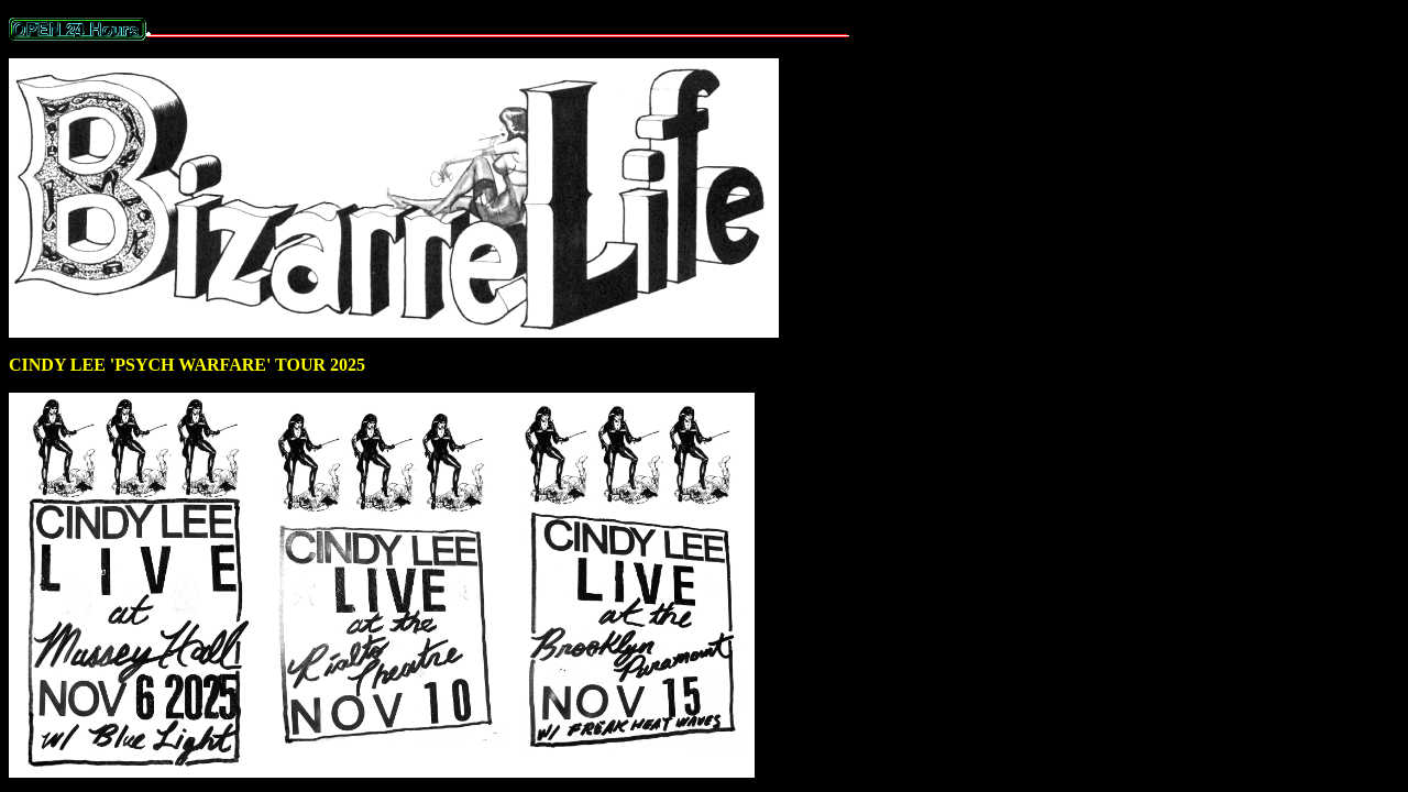 Screenshot of www.geocities.ws