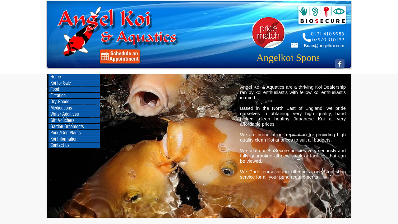Screenshot of www.angelkoi.com