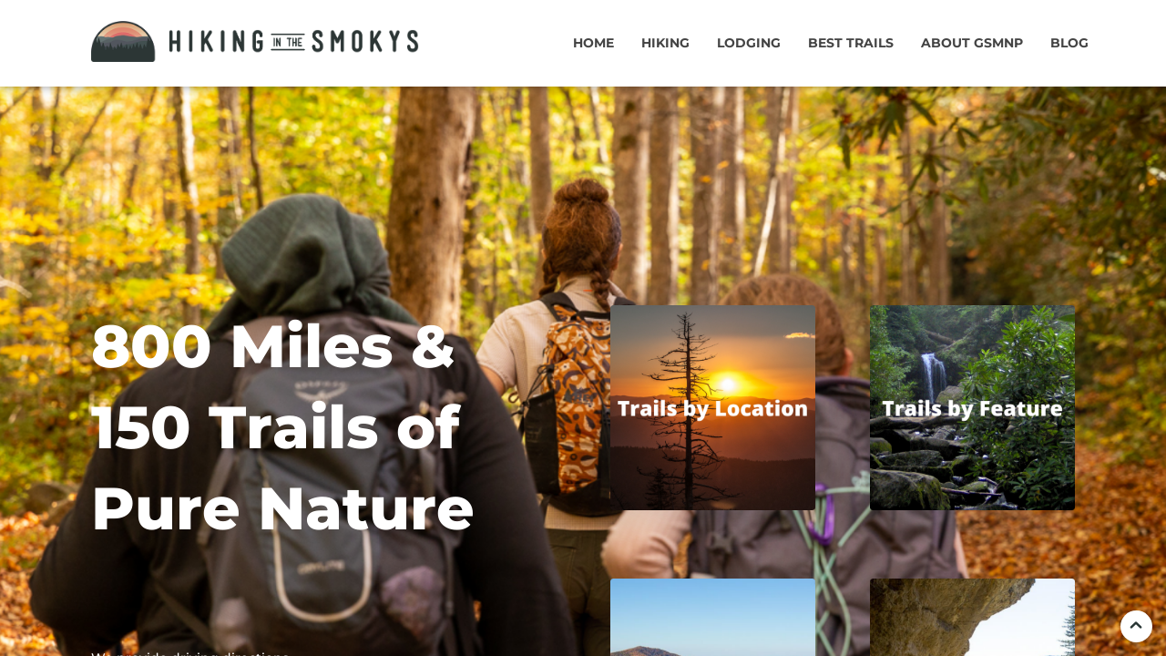 Screenshot of hikinginthesmokys.com