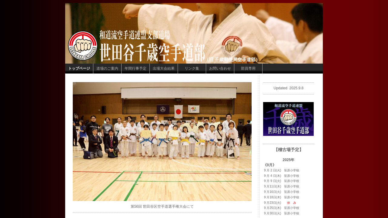 Screenshot of chitosekarate.com