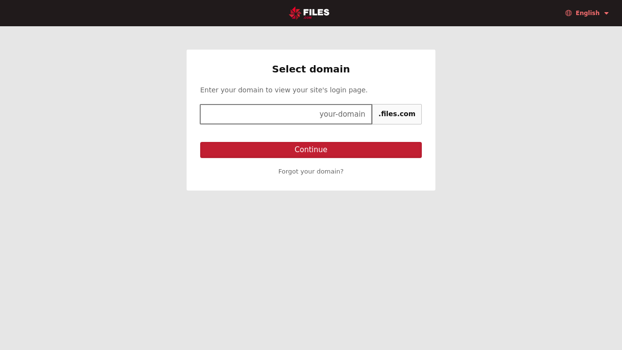 Screenshot of flash.files.com
