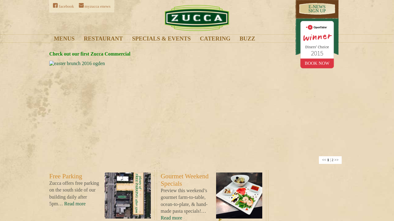 Screenshot of myzucca.com