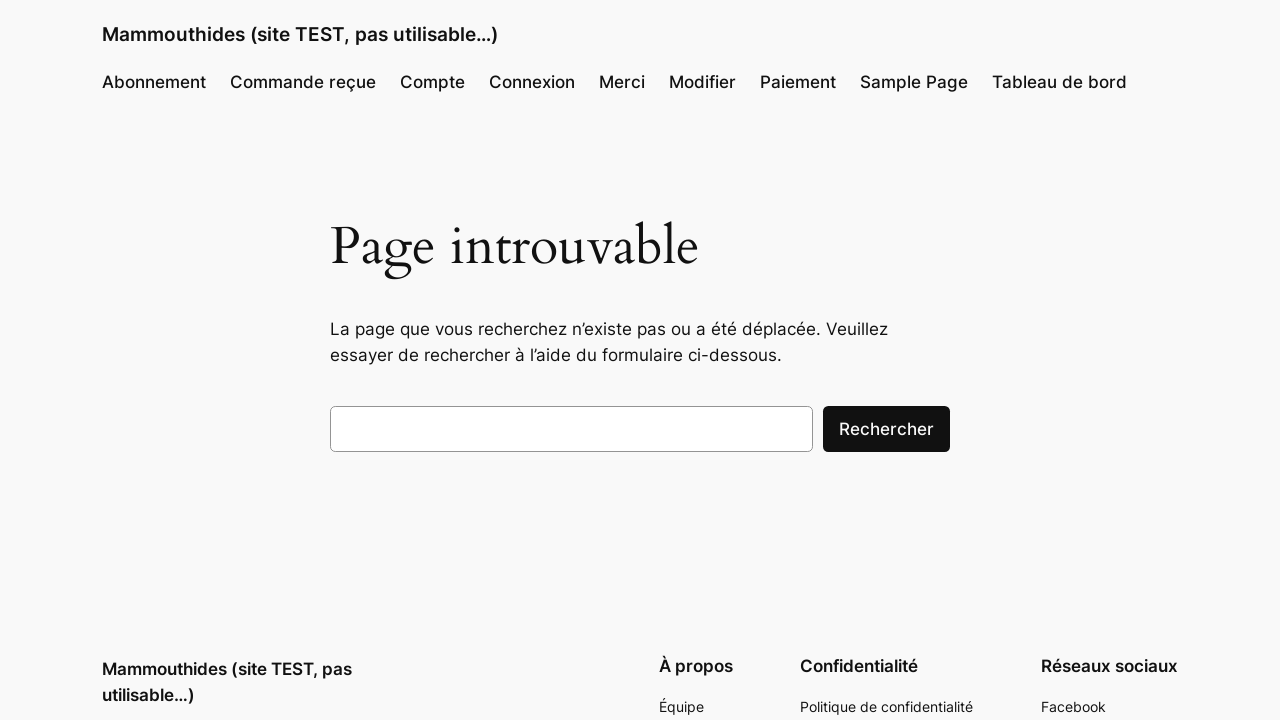 Screenshot of mammouthides.timlib.com