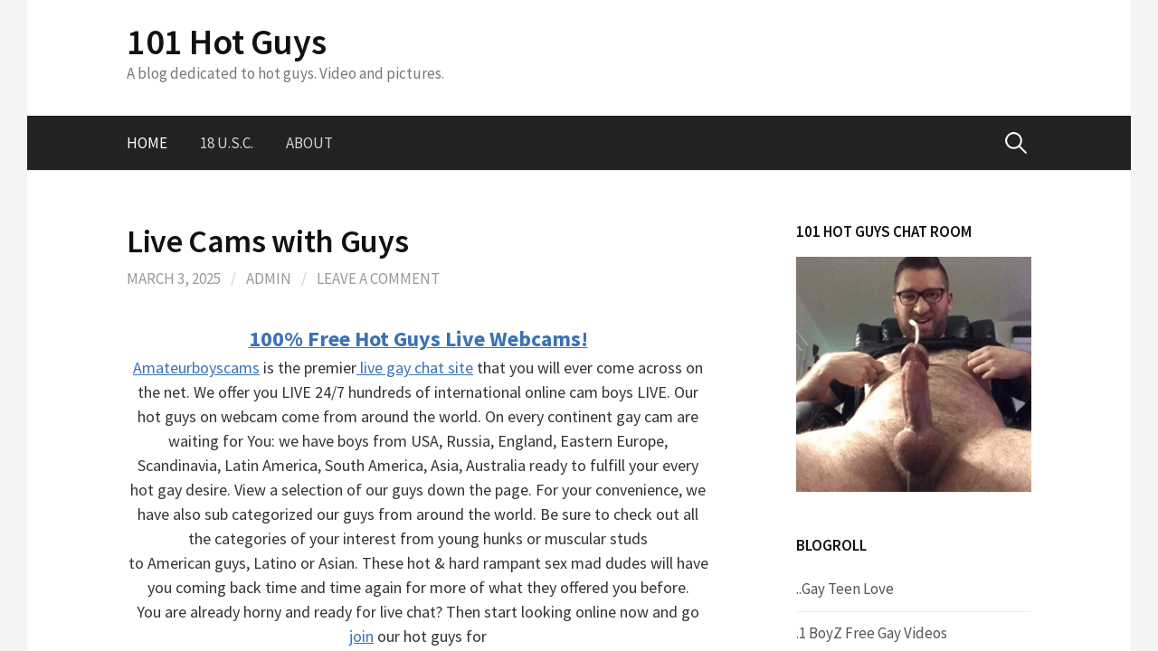 Screenshot of 101hotguys.com