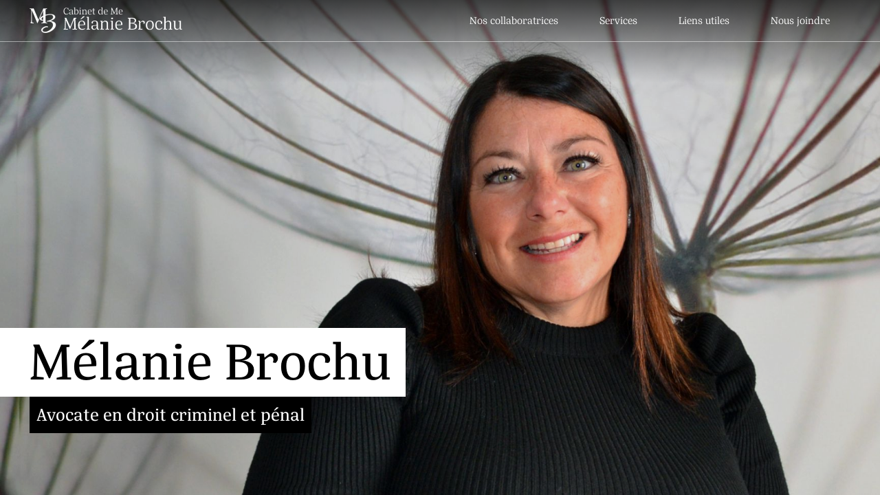 Screenshot of droitpenaletcriminel.com