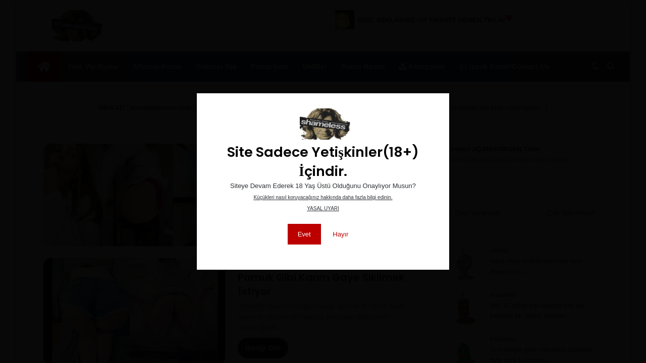Screenshot of utanmazturkler.com