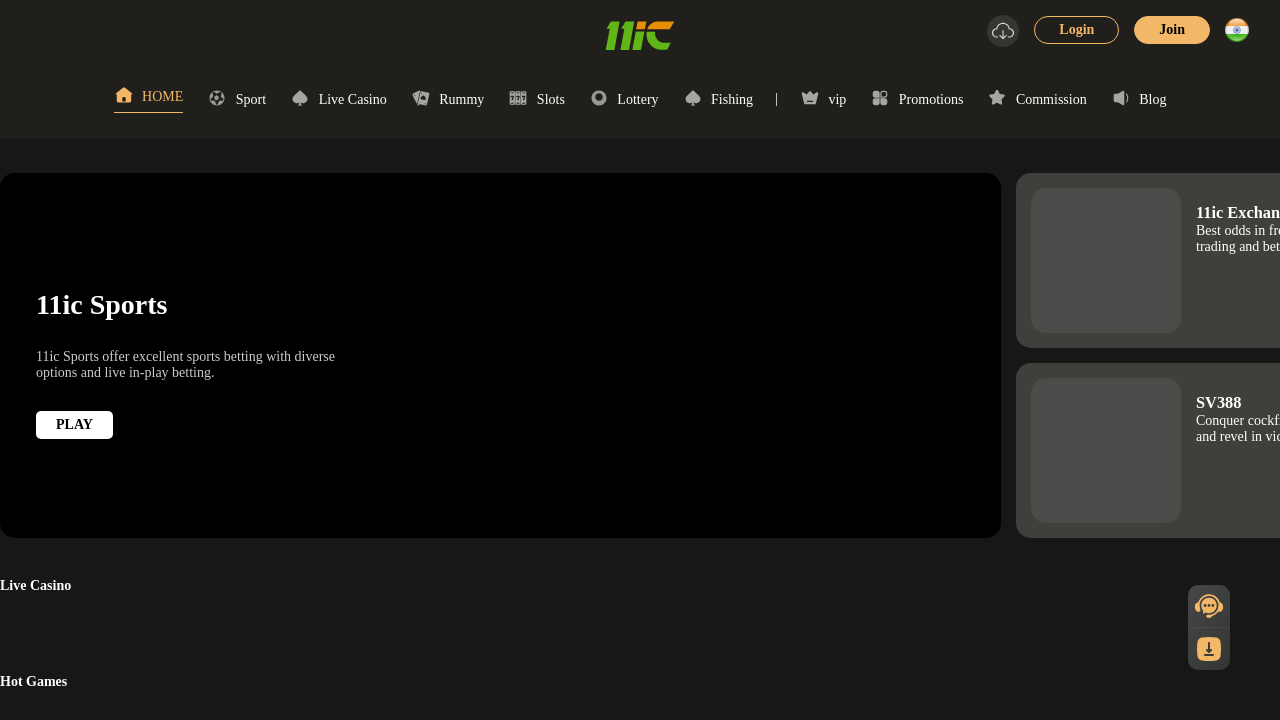 Screenshot of 11ic.com
