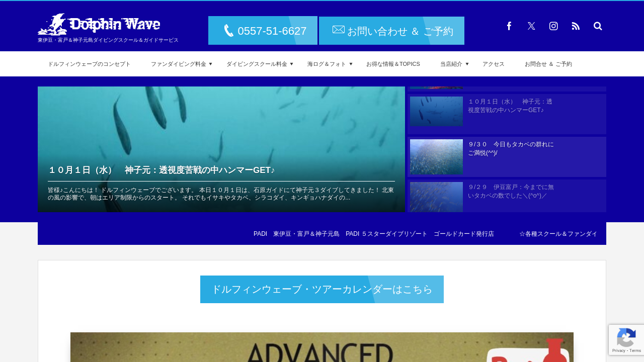 Screenshot of dolphinwave.net