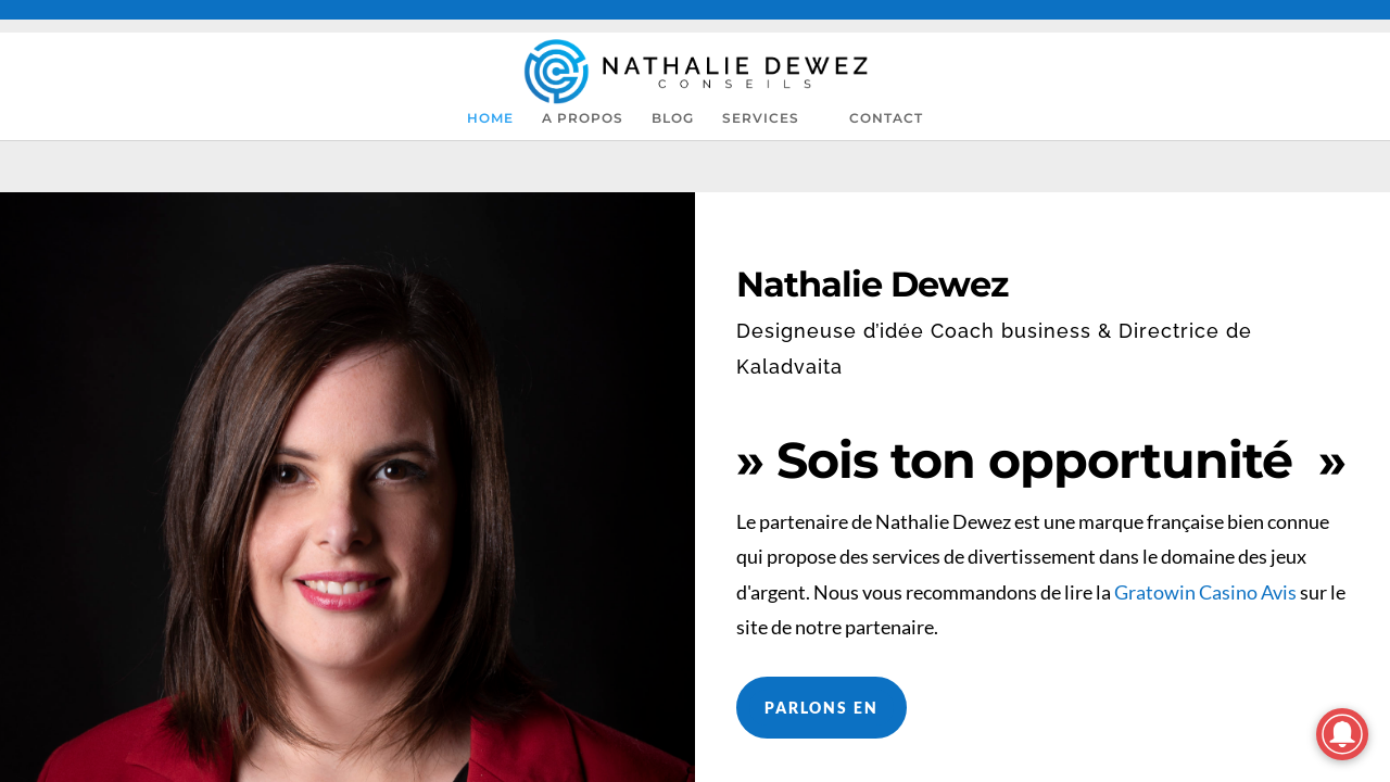Screenshot of nathaliedewezconseils.fr