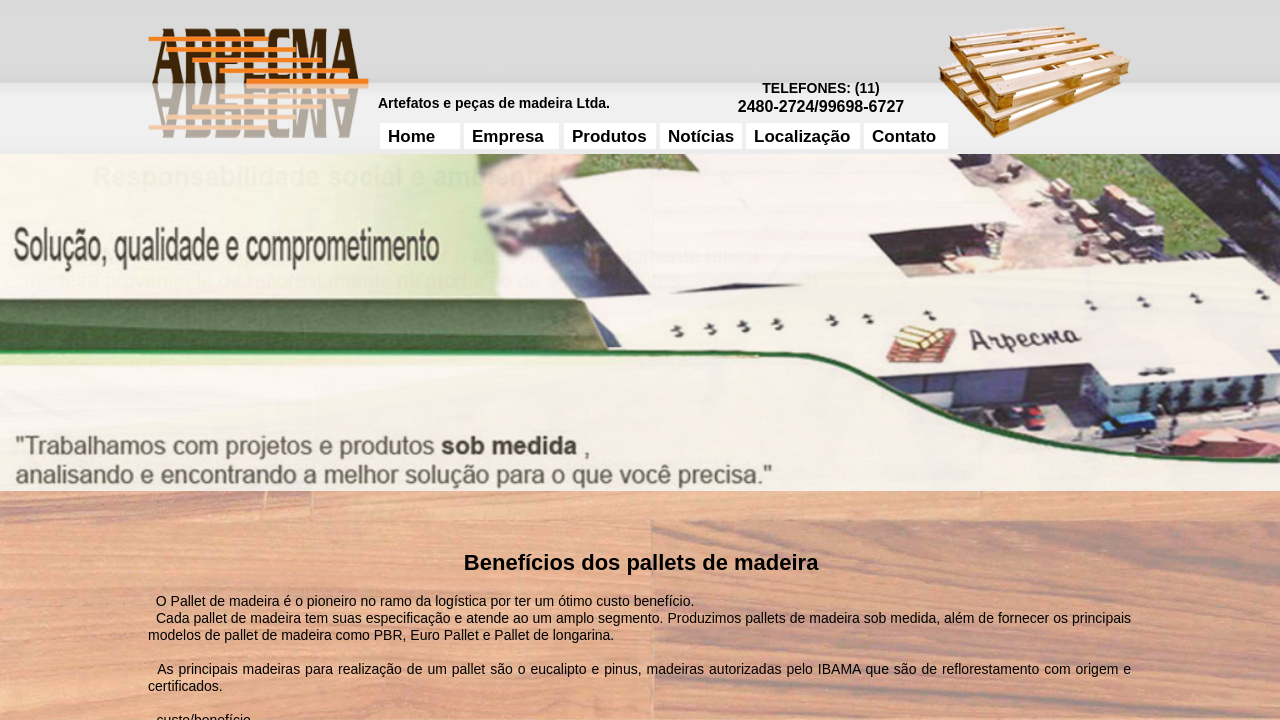 Screenshot of arpecma.com.br