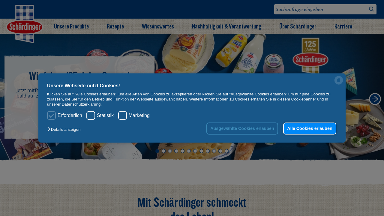 Screenshot of schaerdinger.at