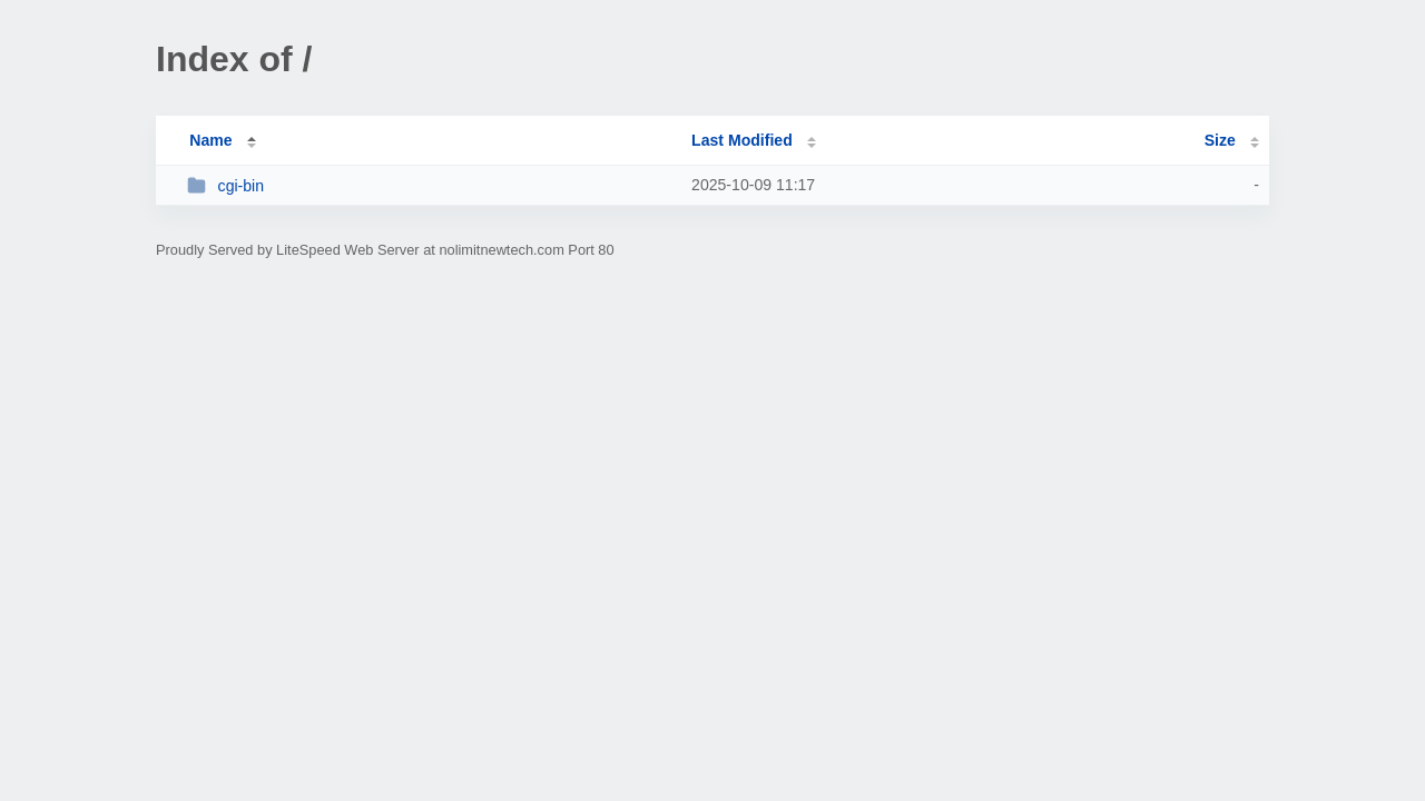 Screenshot of nolimitnewtech.com