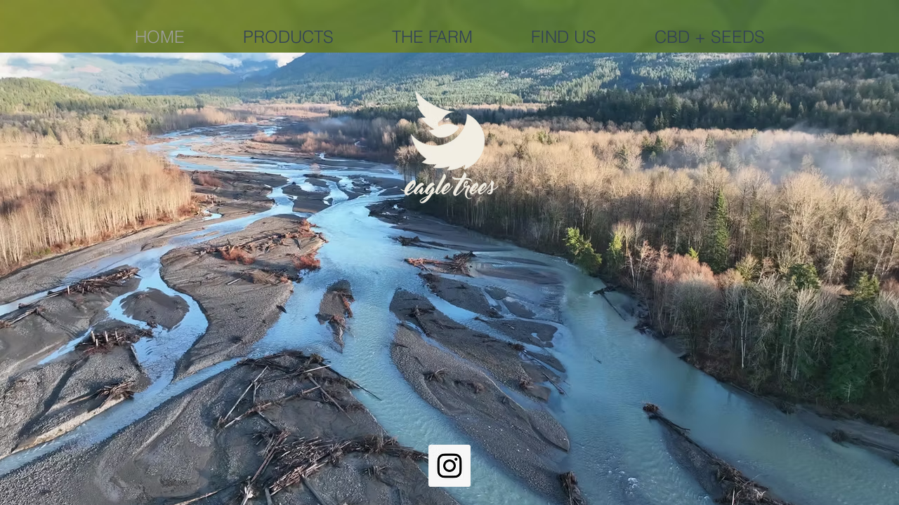 Screenshot of eagletrees.com