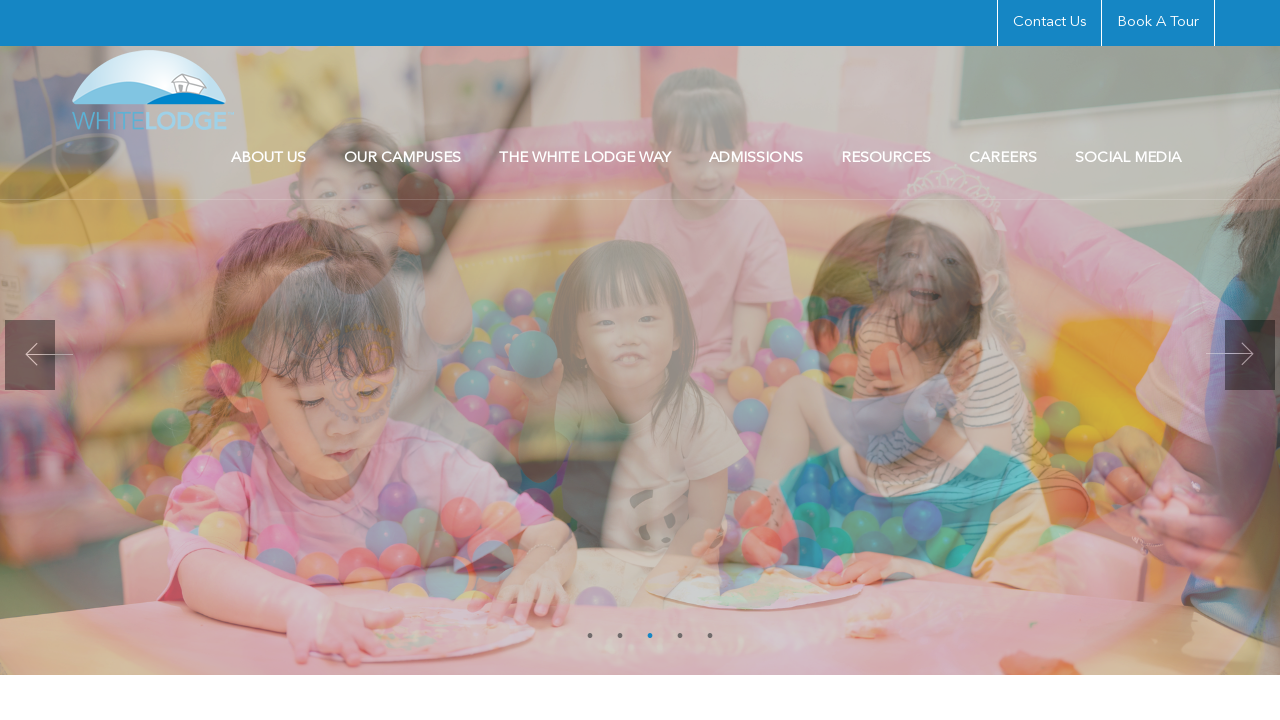 Screenshot of whitelodge.education