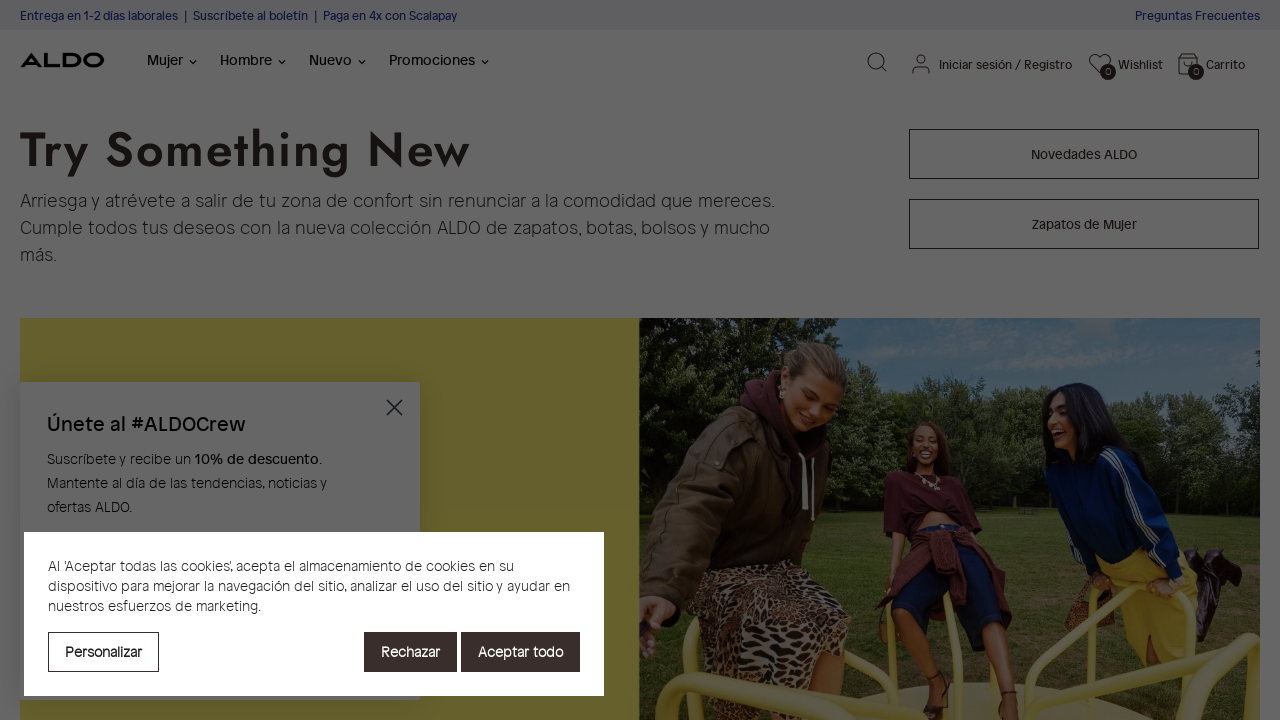 Screenshot of aldoshoes.es