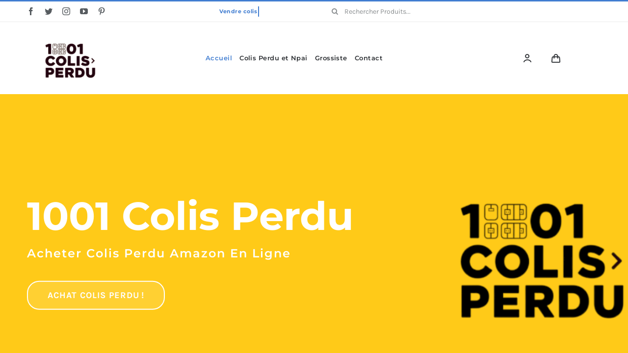 Screenshot of 1001colisperdu.fr