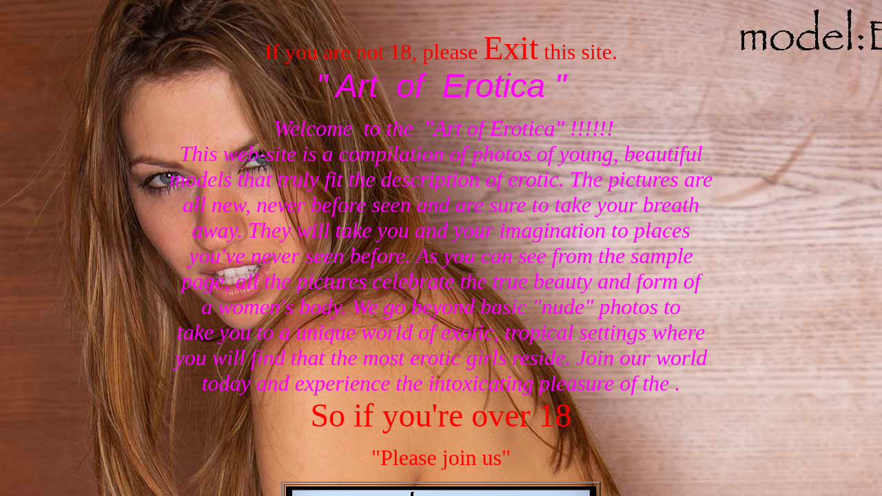 Screenshot of 00artoferotica.com