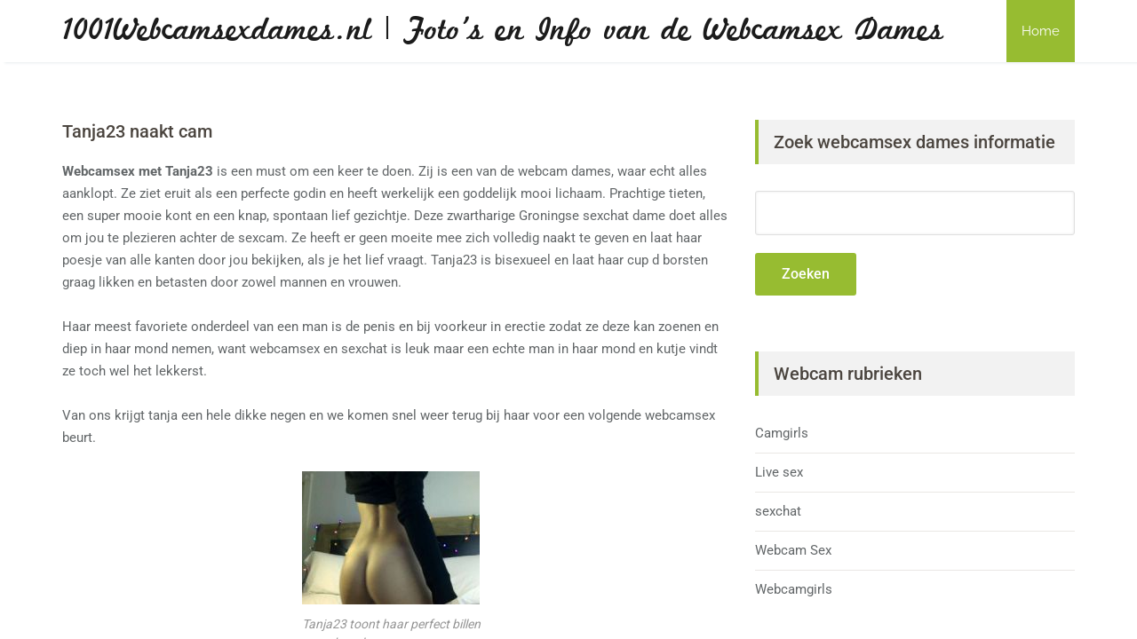 Screenshot of 1001webcamsexdames.nl