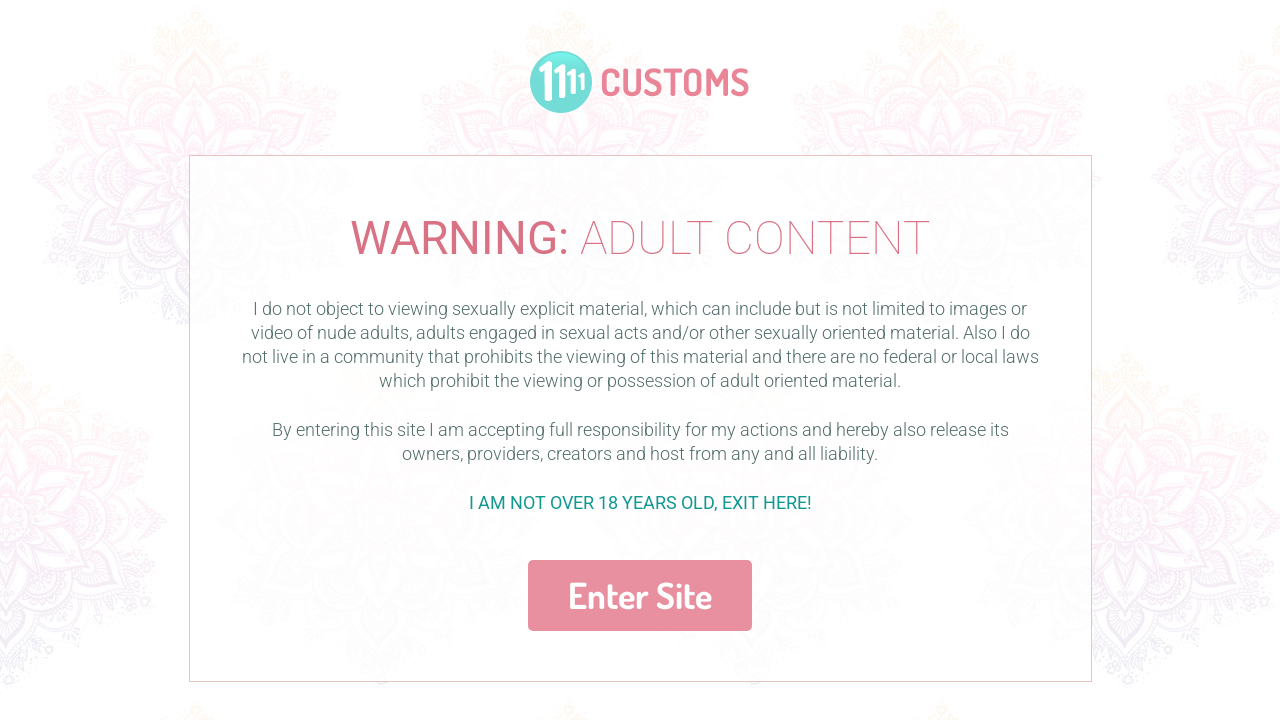 Screenshot of 1111customs.com