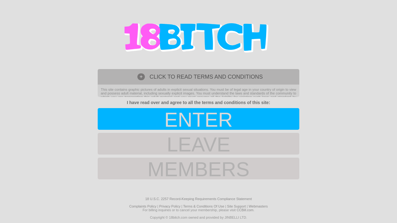 Screenshot of 18bitch.com