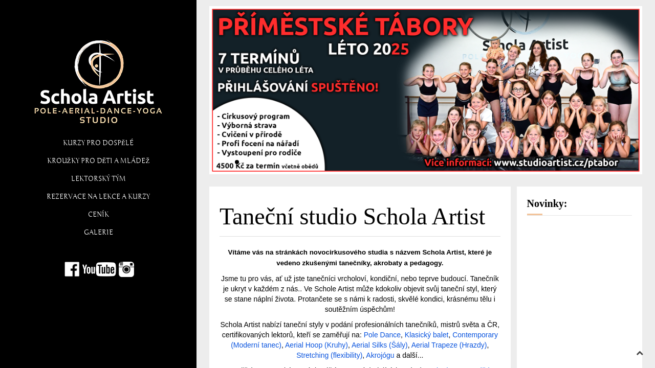 Screenshot of studioartist.cz