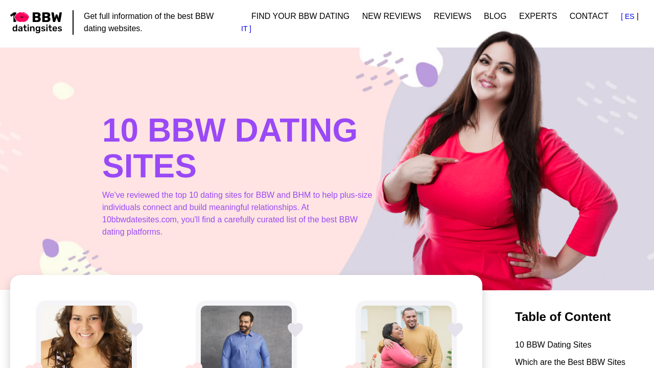 Screenshot of 10bbwdatesites.com