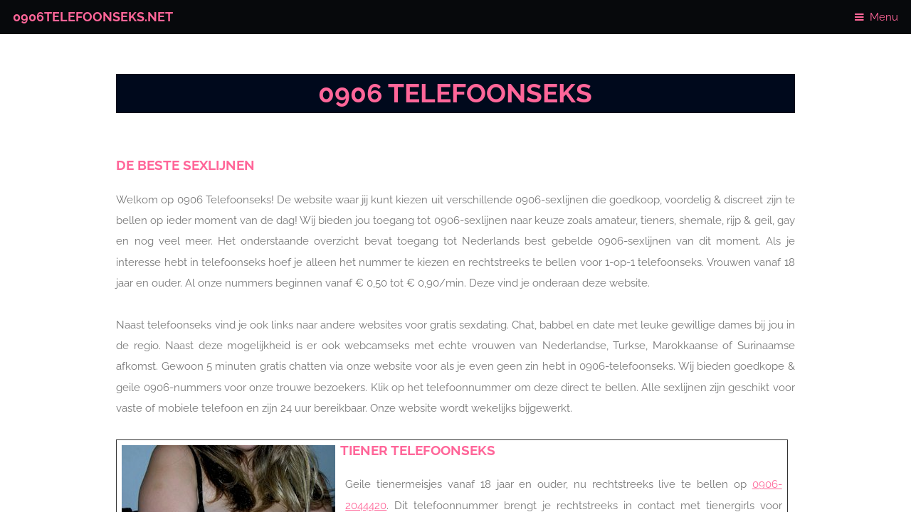 Screenshot of 0906telefoonseks.net
