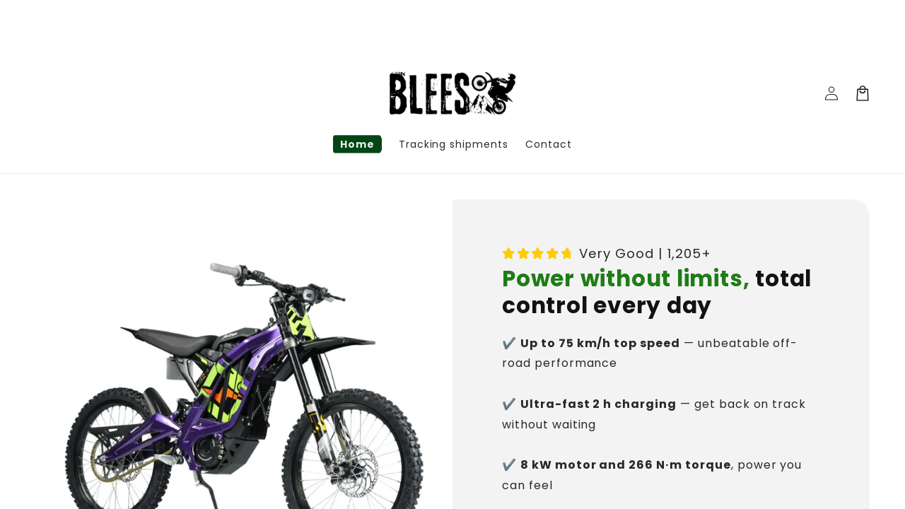 Screenshot of bleesa.com