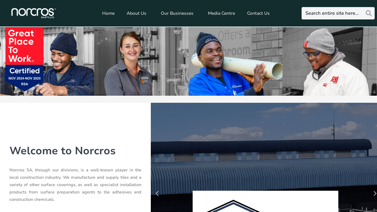 Screenshot of norcros.co.za