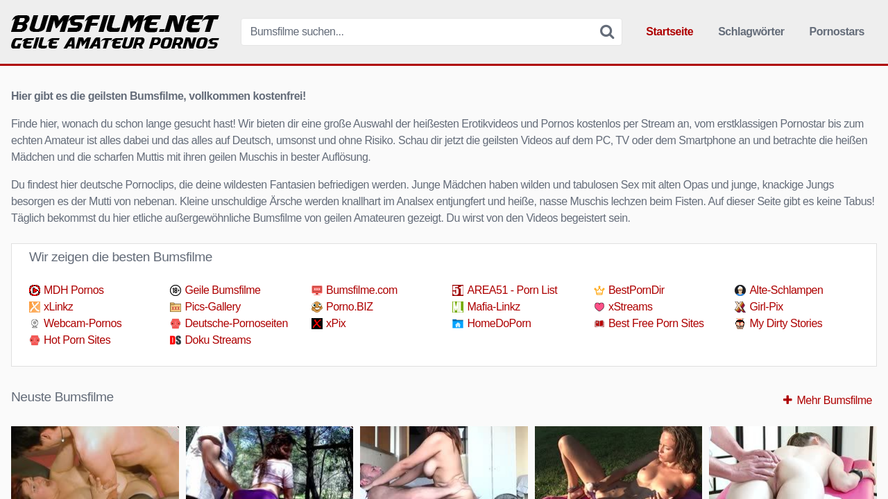 Screenshot of bumsfilme.net