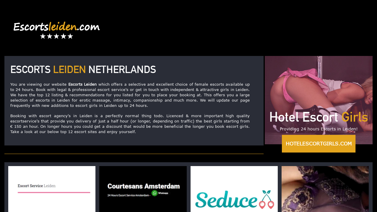 Screenshot of escortsleiden.com