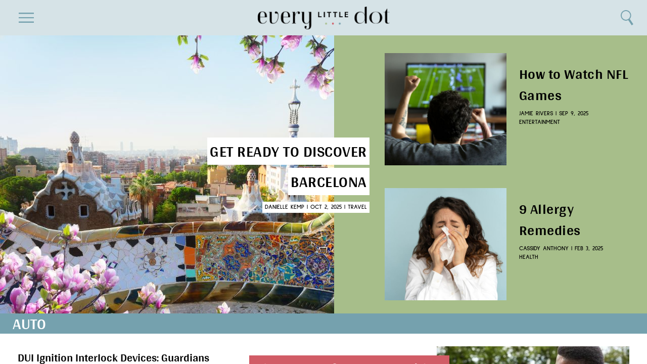 Screenshot of everylittledot.com