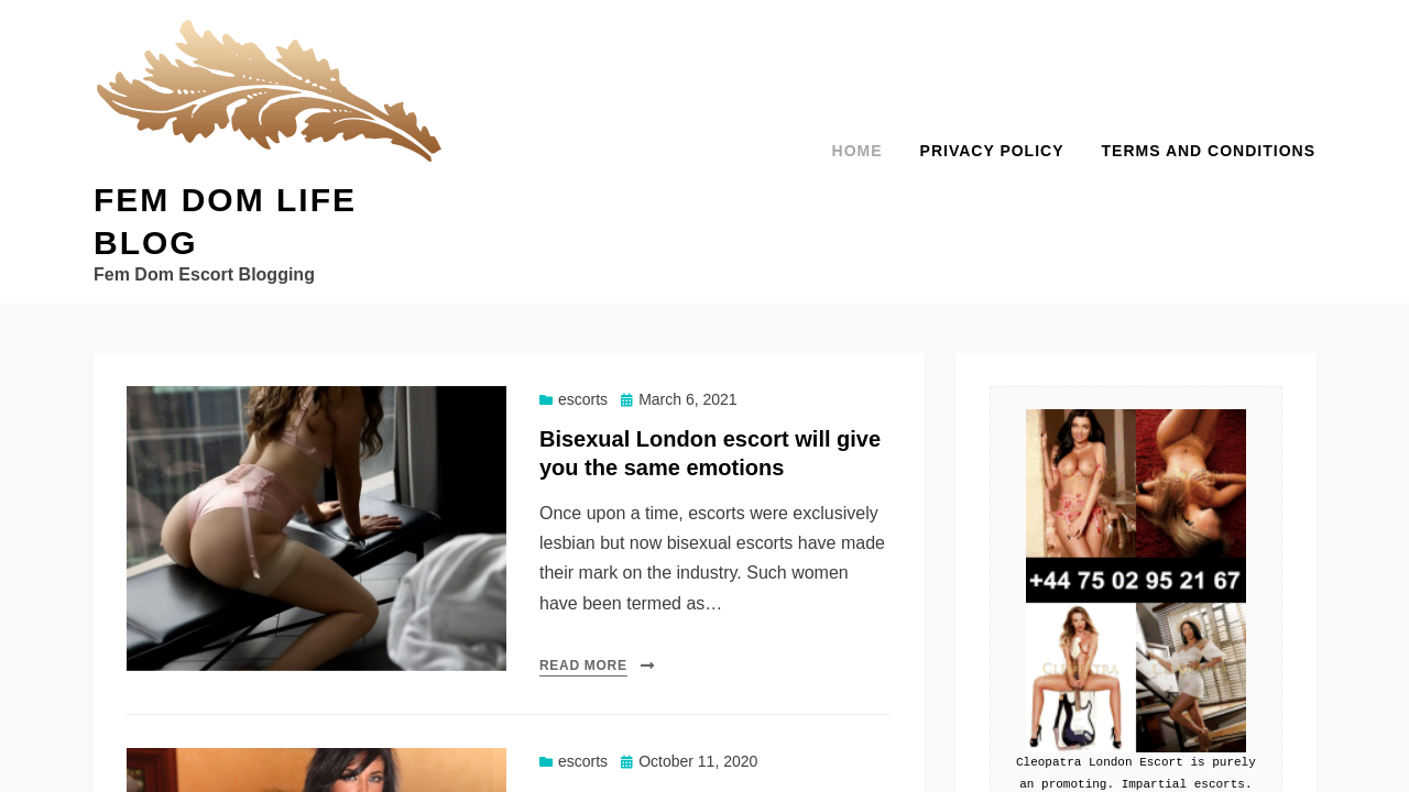 Screenshot of femdomlifeblog.com