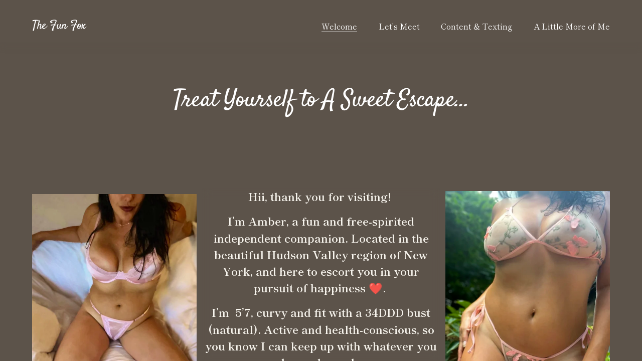 Screenshot of funfoxny.com