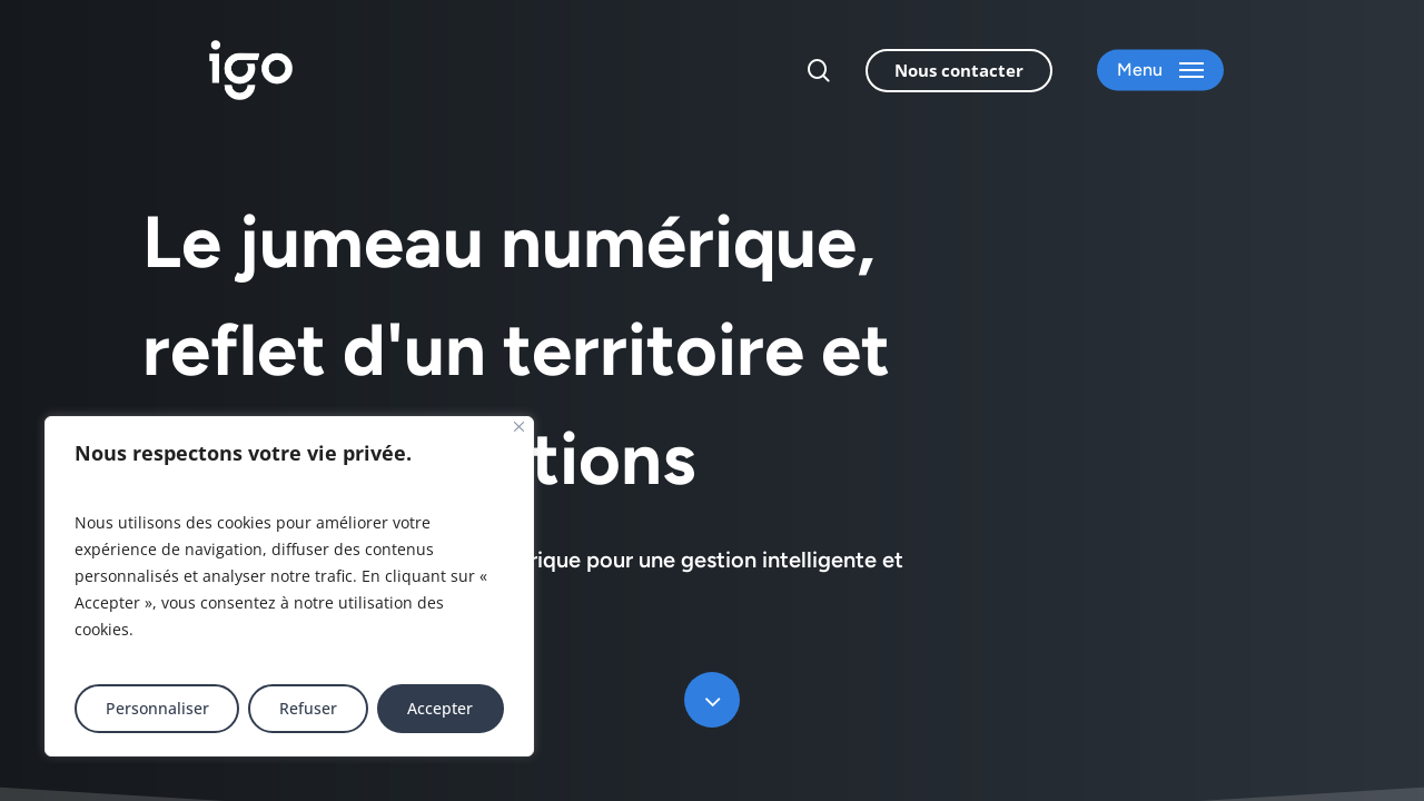 Screenshot of igo.fr