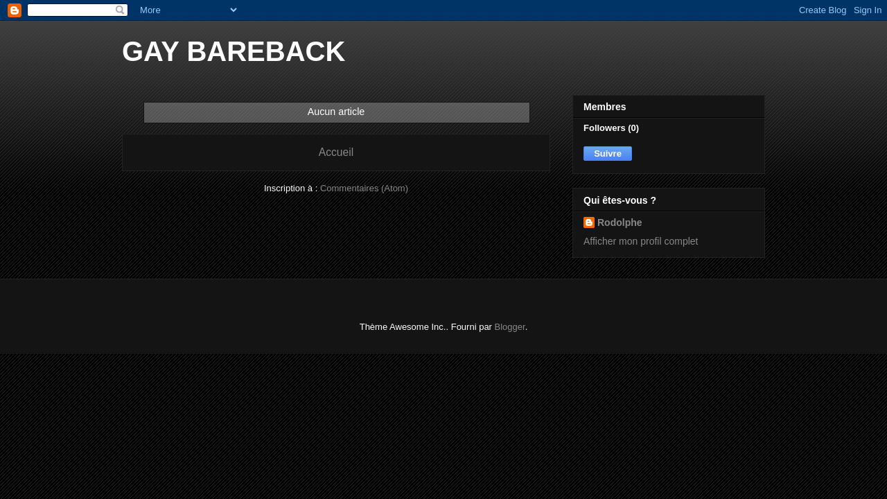 Screenshot of gaybareback.blogspot.com