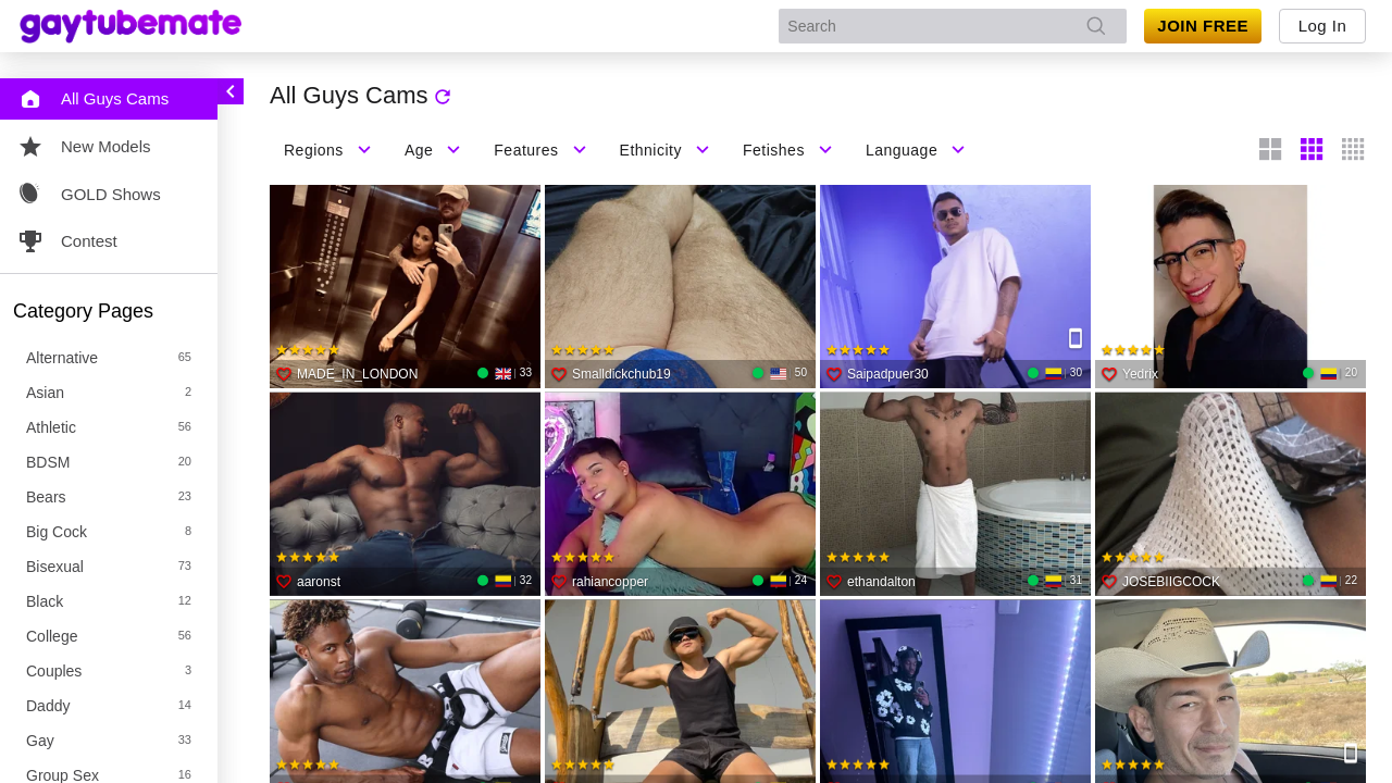 Screenshot of gaytubemate.com