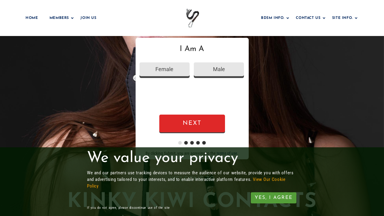 Screenshot of kinkykiwis.com