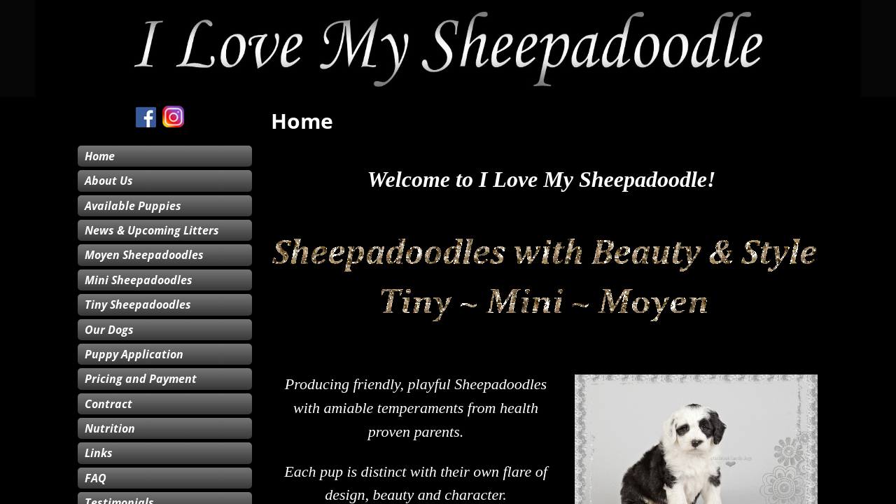 Screenshot of ilovemysheepadoodle.com