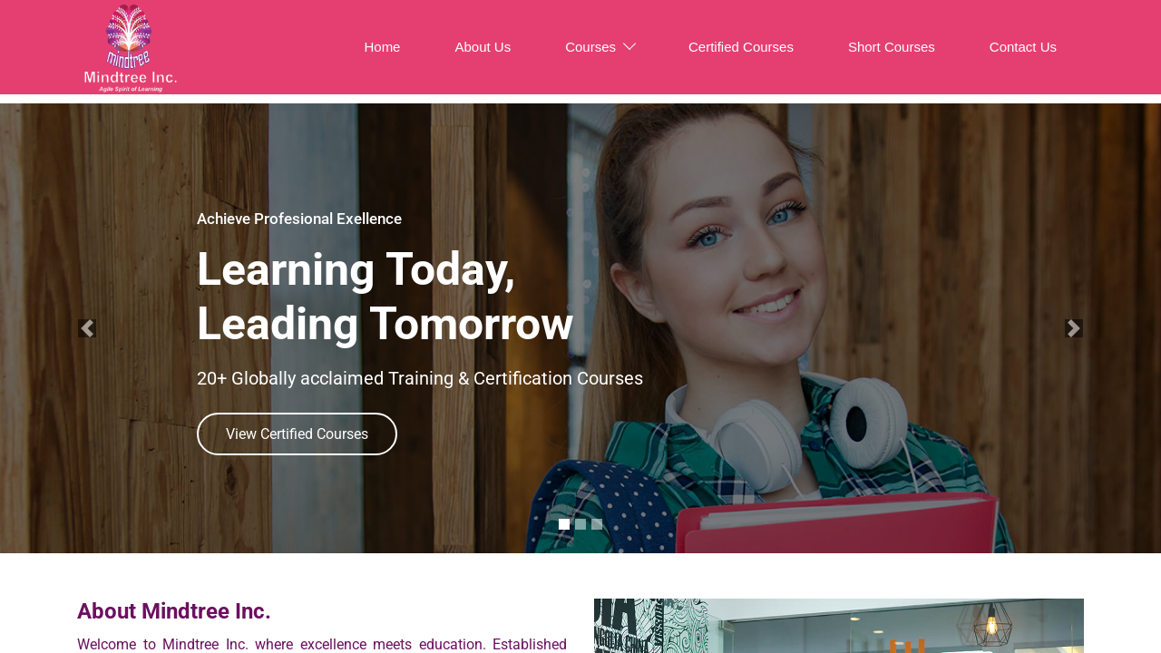 Screenshot of mindtreeinc.com