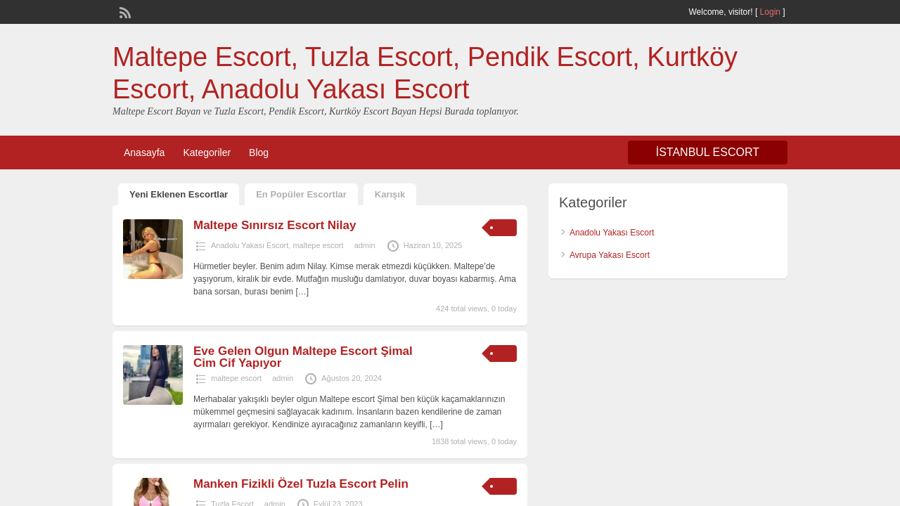 Screenshot of maltepeescortbayanlar.net